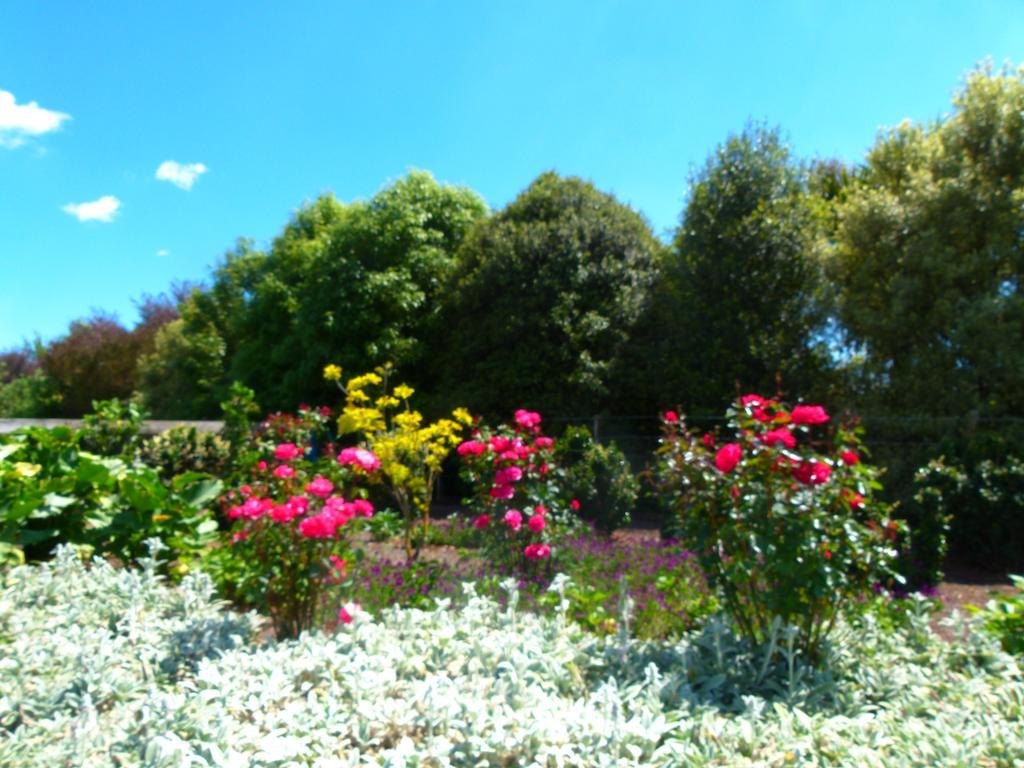 Hadleigh Boutique Lodge Tamahere Buitenkant foto