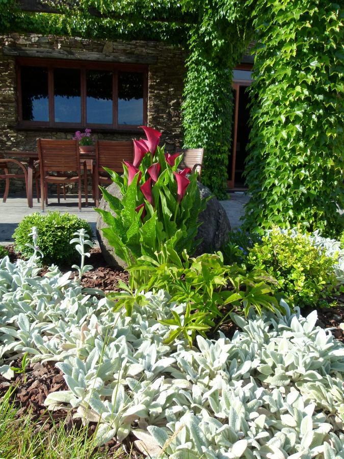 Hadleigh Boutique Lodge Tamahere Buitenkant foto