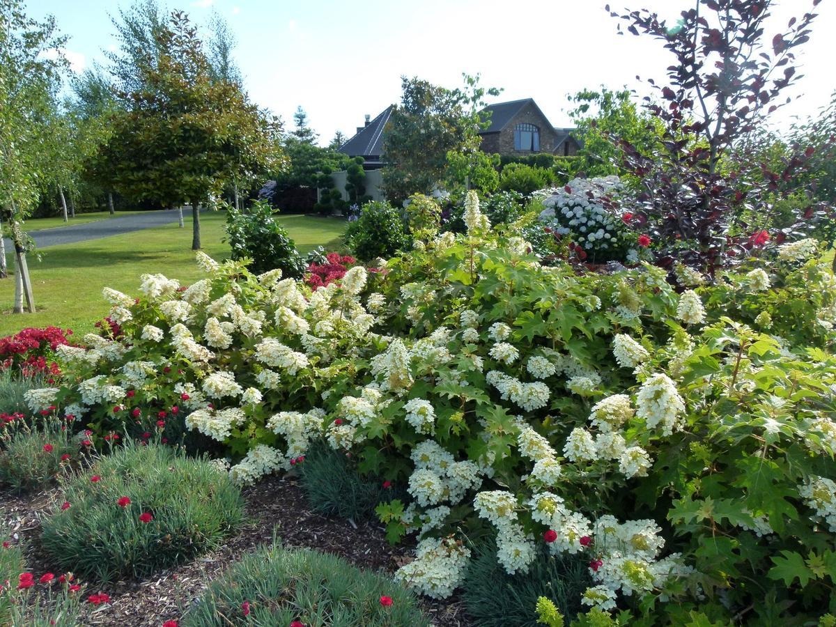 Hadleigh Boutique Lodge Tamahere Buitenkant foto