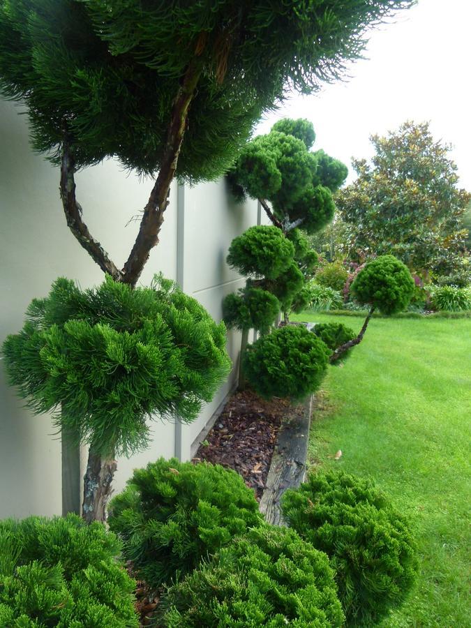 Hadleigh Boutique Lodge Tamahere Buitenkant foto