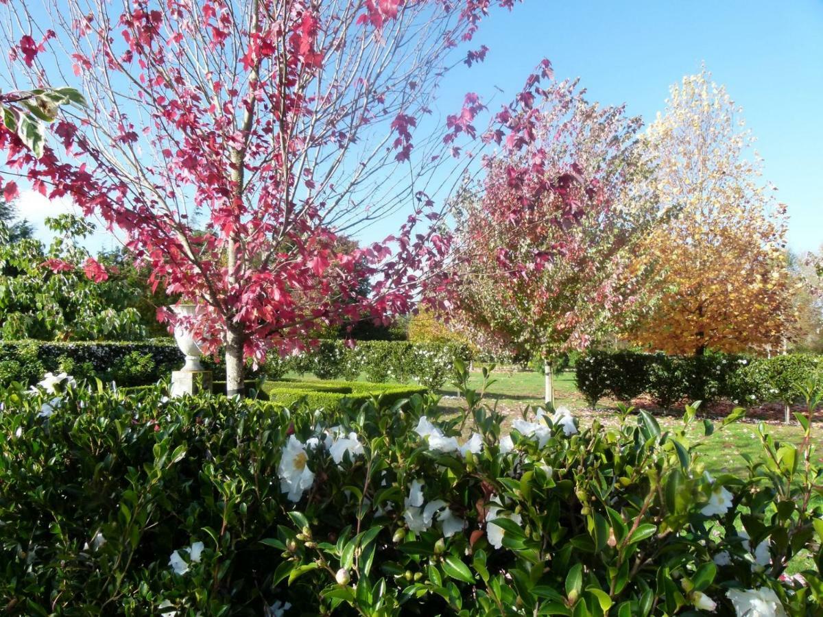 Hadleigh Boutique Lodge Tamahere Buitenkant foto
